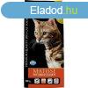 Matisse Neutered Salmon 10kg