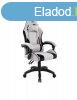 Spirit Of Gamer Arena Gaming Chair Light Grey