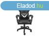 FURY Avenger L Gaming Chair Black/White