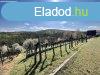 Elad 80m2-es Nyaral, Balatonlelle