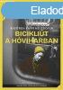 BICIKLIÚT A HÓVIHARBAN