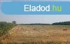 Elad 47000 nm-es Egyb Dabas