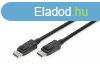 Assmann DisplayPort connection cable, DP 5m Black