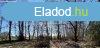 Elad hz, Kecskemt