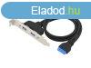 Conceptronic EMRICK11B 19-Pin Female to Dual USB-A Female US