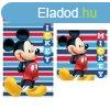 Disney Mickey kztrl, arctrl, trlkz szett