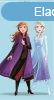 Disney Jgvarzs Kztrl arctrl, trlkz 35x65cm