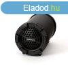 Platinet Omega OG70B Bluetooth Speaker Black