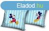 Disney Mickey prnahuzat 40x40 cm Velr