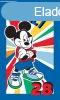 Disney Mickey Player 28 kztrl arctrl, trlkz 30x50cm