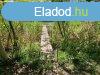 Elad 45 nm-es j pts Htvgi hz Gyomaendrd
