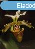 Paphiopedilum Species - The Essential Guide - Oakeley and Br
