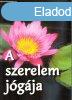 A szerelem jgja - Eladsok nyomn Sri Aurobindo jgrl s