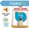 Royal Canin Pug Puppy 500 g
