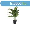 Dekor nvny DKD Home Decor Monstera Zld PP PE (48 x 42 x 5