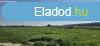 Babt - szntfld elad