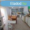 Monor Hegyessy tanyn feljtott csaldi hz, 2073 m2 t