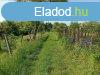 Elad 35m2-es Zrtkert, Kaposvr